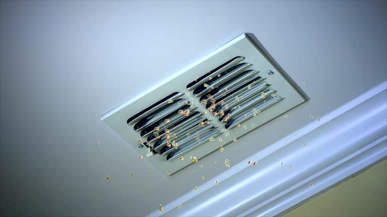 Best Commercial Air Duct Cleaning  in Cecilia, LA