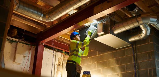 Best Air Duct Cleaning Near Me  in Cecilia, LA