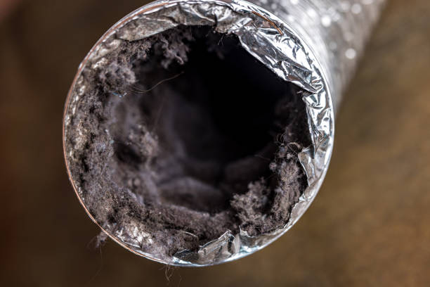Best Professional Duct Cleaning Services  in Cecilia, LA