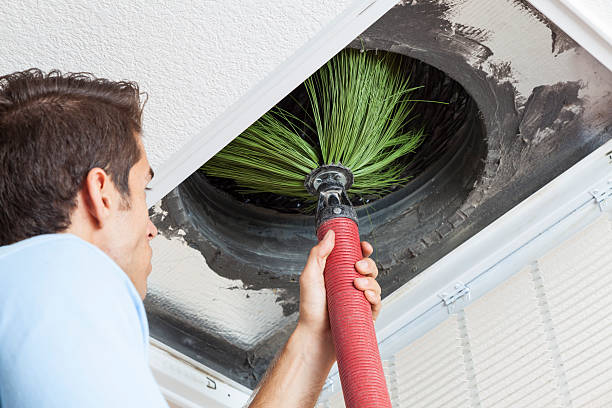 Best Air Duct Cleaning Near Me  in Cecilia, LA