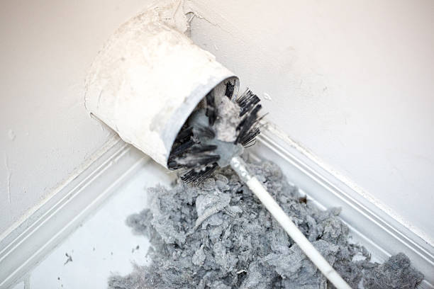 Best Best Air Duct Cleaning Company  in Cecilia, LA